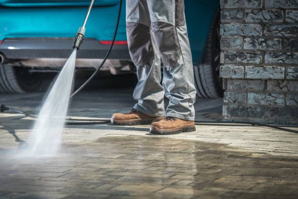 Best House Exterior Washing  in Auburn, MI